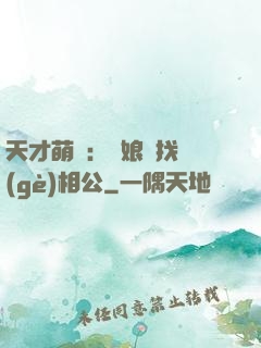天才萌寶：給娘親找個(gè)相公
