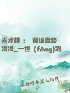 天才萌寶：總裁追妻路漫漫