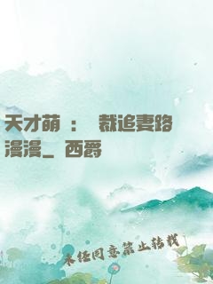 天才萌寶：總裁追妻路漫漫