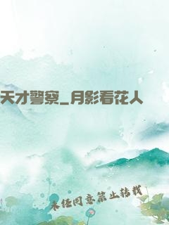 天才警察