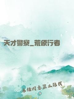 天才警察