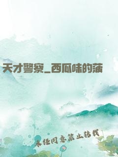 天才警察