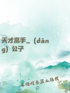 天才高手