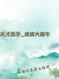 天才高手