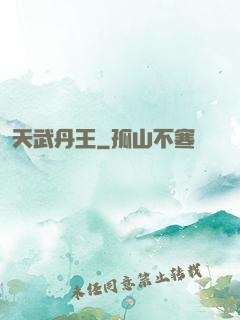 天武丹王