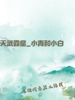 天武霸皇