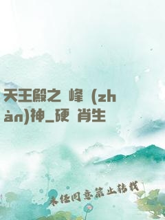 天王殿之巔峰戰(zhàn)神
