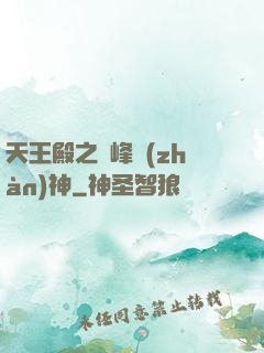 天王殿之巔峰戰(zhàn)神