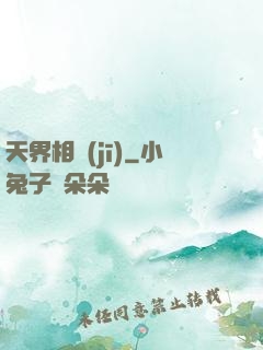 天界相機(jī)