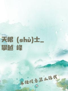 天眼術(shù)士