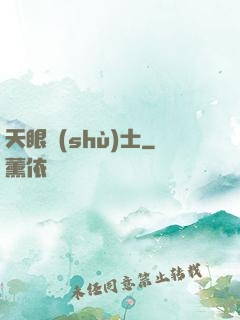 天眼術(shù)士