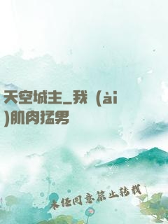 天空城主