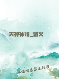 天算神婿