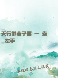 天行健老子要揮一億拳