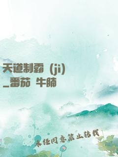 天道制霸計(jì)劃