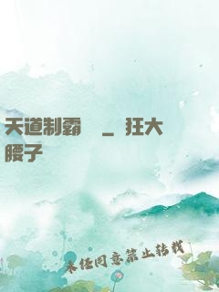 天道制霸計劃