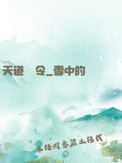 天道罰惡令