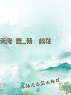 天降嬌妻