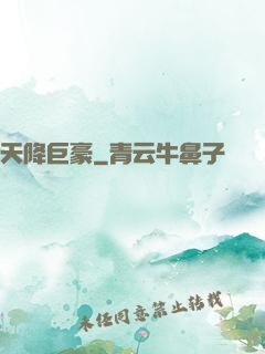 天降巨豪