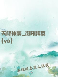 天降神豪