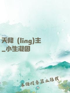天降領(lǐng)主