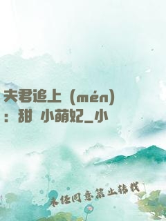 夫君追上門(mén)：甜寵小萌妃
