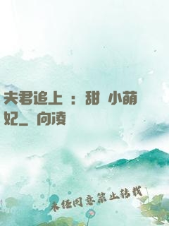 夫君追上門：甜寵小萌妃