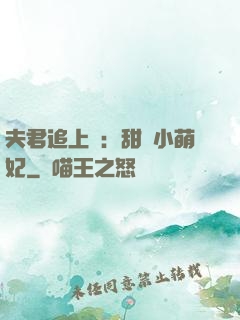 夫君追上門：甜寵小萌妃