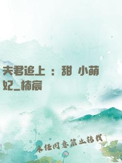 夫君追上門：甜寵小萌妃