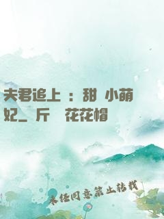 夫君追上門：甜寵小萌妃