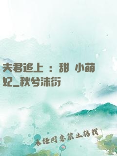 夫君追上門：甜寵小萌妃