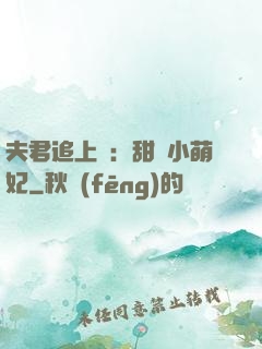 夫君追上門：甜寵小萌妃