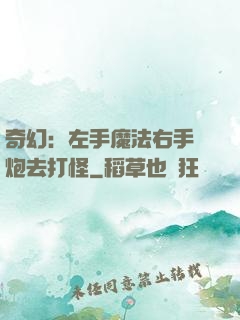 奇幻：左手魔法右手槍炮去打怪