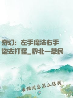 奇幻：左手魔法右手槍炮去打怪