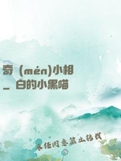 奇門(mén)小相師