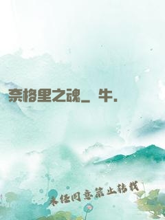奈格里之魂