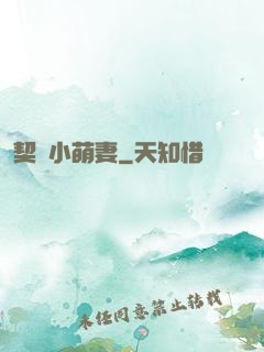 契約小萌妻