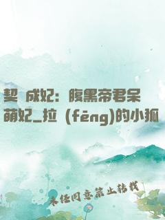 契約成妃：腹黑帝君呆萌妃