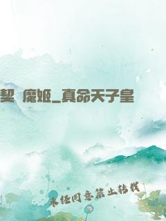 契約魔姬