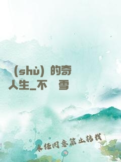 奧術(shù)師的奇異人生