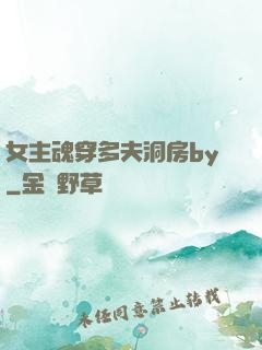 女主魂穿多夫洞房by