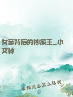 女帝背后的抄家王