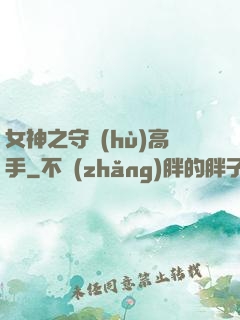 女神之守護(hù)高手