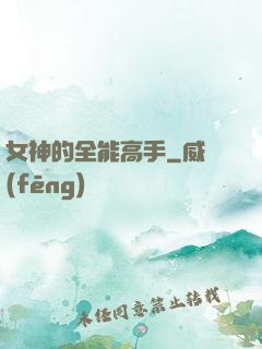 女神的全能高手
