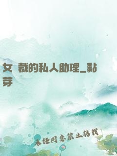 女總裁的私人助理