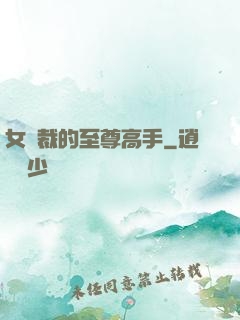 女總裁的至尊高手
