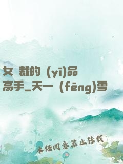 女總裁的醫(yī)品高手