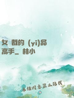 女總裁的醫(yī)品高手