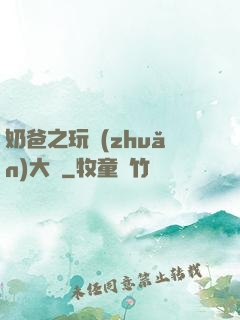 奶爸之玩轉(zhuǎn)大眾