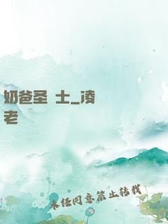 奶爸圣騎士